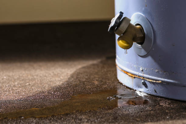 Best Ceiling water damage repair  in The Pinehills, MA