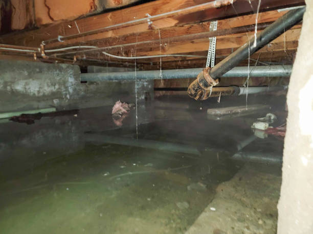 Carpet water damage restoration in The Pinehills, MA