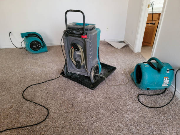 Best Water damage restoration near me  in The Pinehills, MA