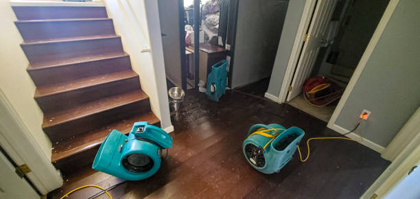 Best Water damage restoration near me  in The Pinehills, MA