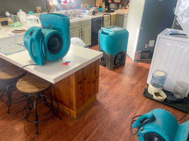 Best Water damage restoration specialists  in The Pinehills, MA