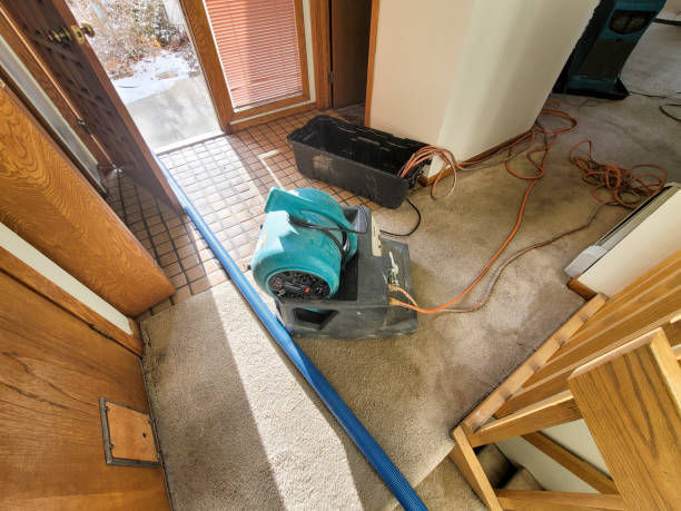 Best Flood restoration services  in The Pinehills, MA