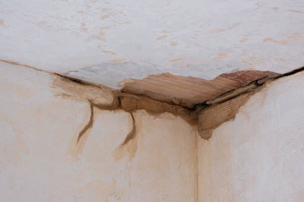 Best Water damage restoration experts  in The Pinehills, MA