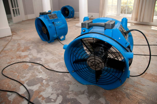 Best Basement water damage restoration  in The Pinehills, MA