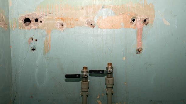 Best Residential water damage restoration  in The Pinehills, MA