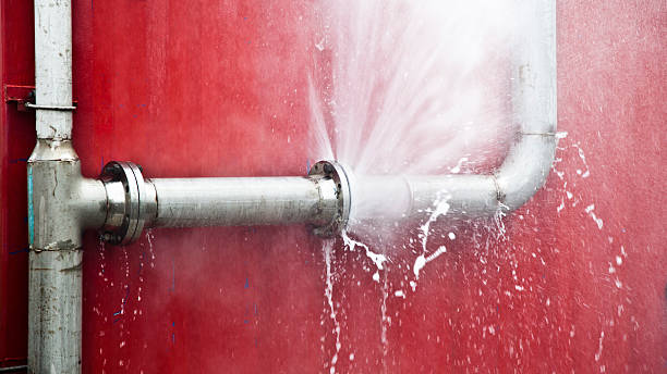 Best Water damage cleanup near me  in The Pinehills, MA