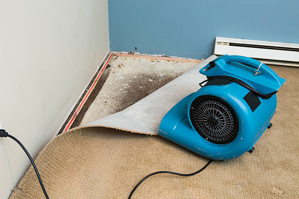 Trusted The Pinehills, MA Water damage restoration Experts